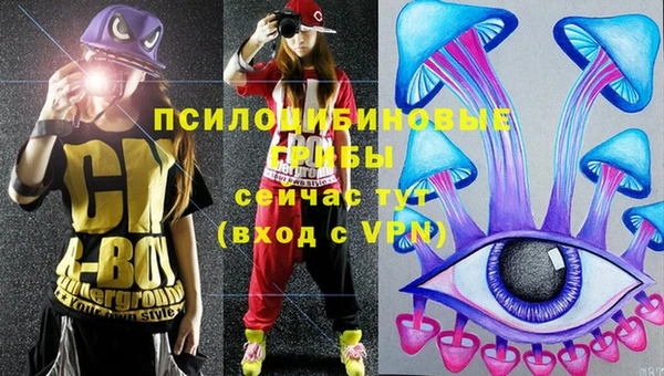 ALPHA PVP Богородск